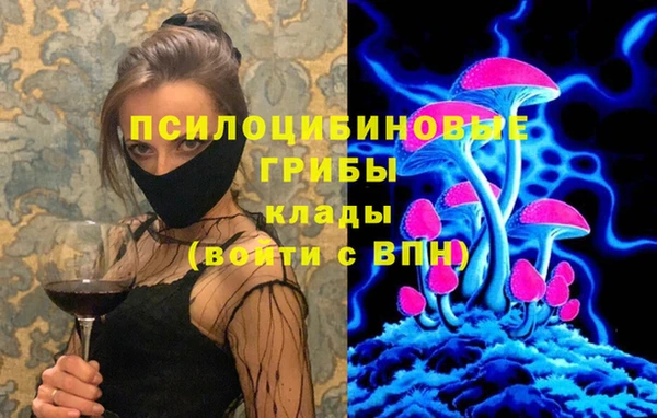 mdpv Карталы