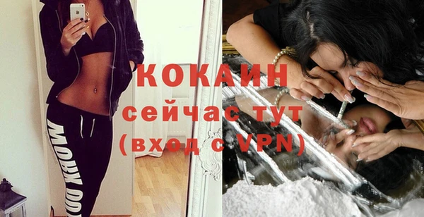 шишки Киреевск